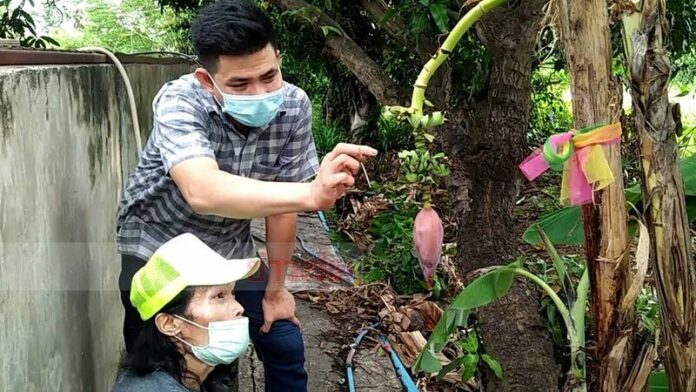 หวย