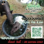 องค์การสวนสัตว์ฯ เปิดสวนสัตว์ทั่วไทย คืนสุขวันแรงงานฯ 1 พ.ค. นี้