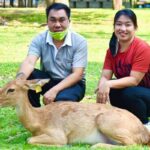 สวนสัตว์เขาเขียว ชวนเที่ยวสงกรานต์ สรงน้ำพระฯ ทำบุญ ชมสัตว์นานาพันธุ์