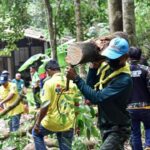 กลาโหม สั่งเหล่าทัพ ช่วยปชช.ประสบภัยพิบัติ-เร่งฟื้นฟู
