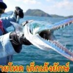 ตร.เตือน นทท.ระวังปลาเต็กเล้ง ตามโขดหิน