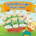 ซัมเมอร์นี้ เจียไต๋ โฮมการ์เด้น ชวนปลูกผักหน้าร้อน เปิดตัวผักน่าปลูก ใหม่แกะกล่อง 