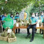 กรมส่งเสริมการเกษตรทุ่มเต็มร้อย Zero Covid จัดใหญ่“Eastern Monthong Best Quality เปิดฤดูกาลหมอนทอง ดีเลิศที่คุณภาพ ดีเยี่ยมเพื่อส่งออก” 