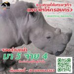 องค์การสวนสัตว์ฯ เปิดสวนสัตว์ทั่วไทย คืนสุขวันแรงงานฯ 1 พ.ค. นี้