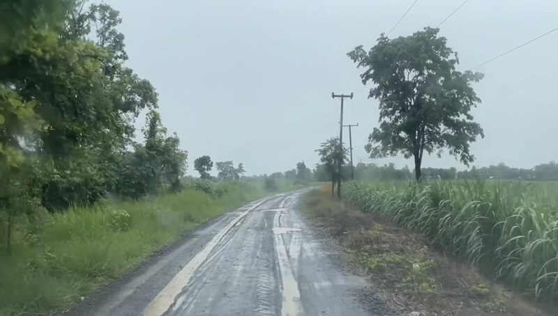 ฝนตกหนัก หญิงวัย 53 ปี ออกไปต้อนวัวเข้าคอก ฟ้าผ่าเปรี้ยงเดียว เสียชีวิตกลางทุ่งนา สลด วัว 9 ตัวยืนเฝ้าศพไม่ห่าง