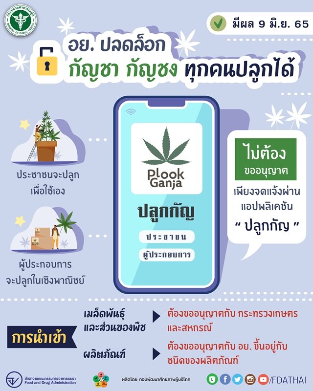 อย. เผย หลังปลดล็อก กัญชา กัญชง พ้นจากยาเสพติด ซึ่งมีผลในวันที่ 9 มิ.ย.65 ทุกคนปลูกได้โดยไม่ต้องขออนุญาต