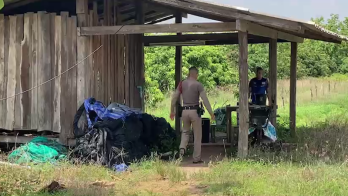 รตท.โผล่