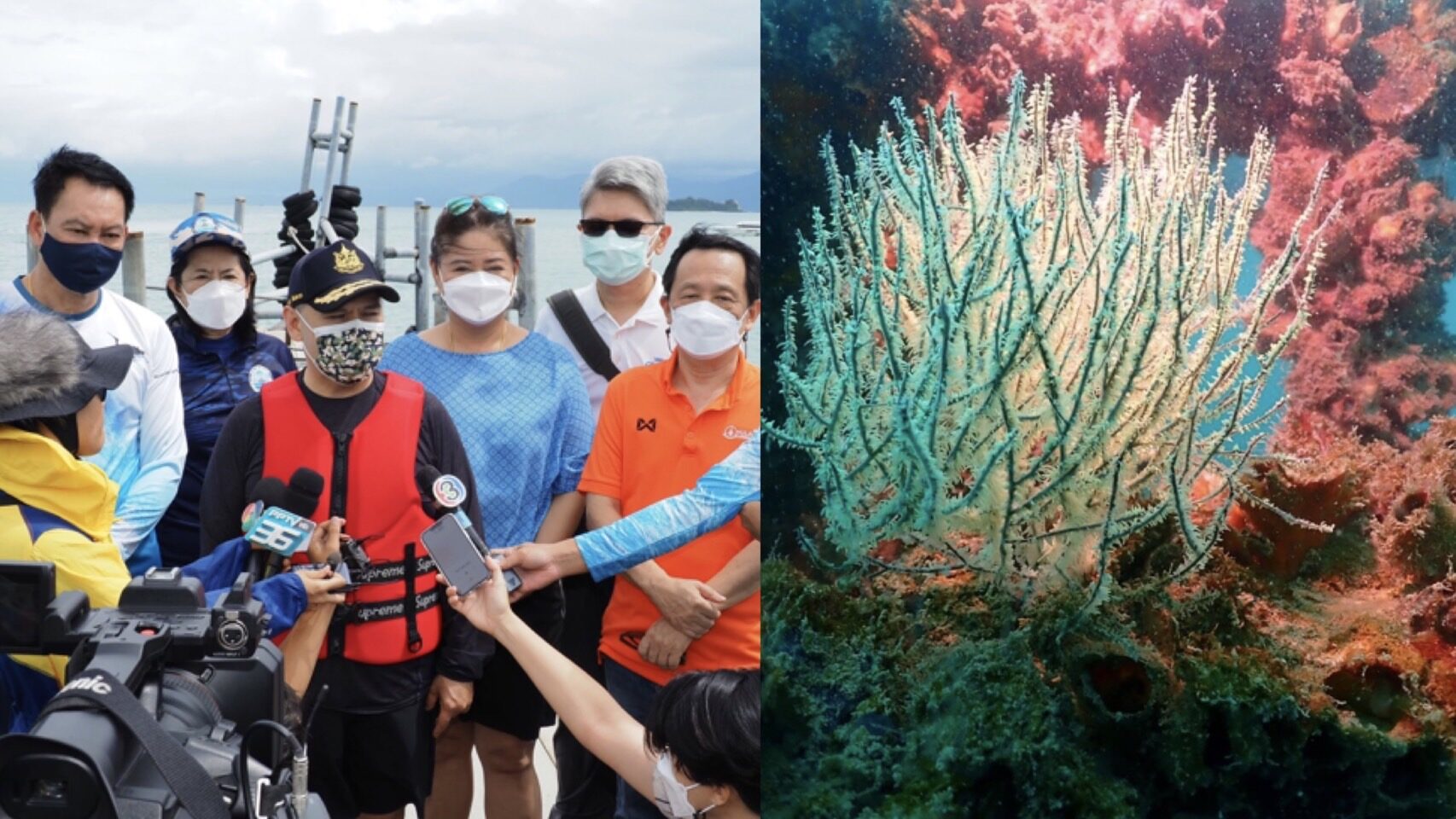 ‘วราวุธ’ ปลื้ม!พบสัตว์ทะเลเกาะพะงันเพิ่ม หลังวางขาแท่นเป็นปะการังเทียม