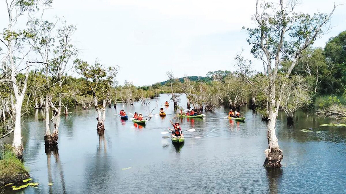 สวนพฤกษศาสตร์ระยอง สุดอันซีน-ป่าเสม็ดพันปีเมื่อเอ่ยถึงสถานที่ท่องเที่ยว