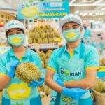 ‘โลตัส’ รับซื้อทุเรียนจากเกษตรกร 3 ล้านกิโลฯ จัดเทศกาลทุเรียนในไฮเปอร์มาร์เก็ต 236 สาขาทั่วประเทศ 