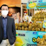 ‘โลตัส’ รับซื้อทุเรียนจากเกษตรกร 3 ล้านกิโลฯ จัดเทศกาลทุเรียนในไฮเปอร์มาร์เก็ต 236 สาขาทั่วประเทศ 