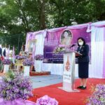 คณะพยาบาลศาสตร์ ราชวิทยาลัยจุฬาภรณ์   จัดโครงการบริการสุขภาพเพื่อประชาชน “ดูแลสุขภาพอย่างไร  ห่างไกลโรคเรื้อรัง” 