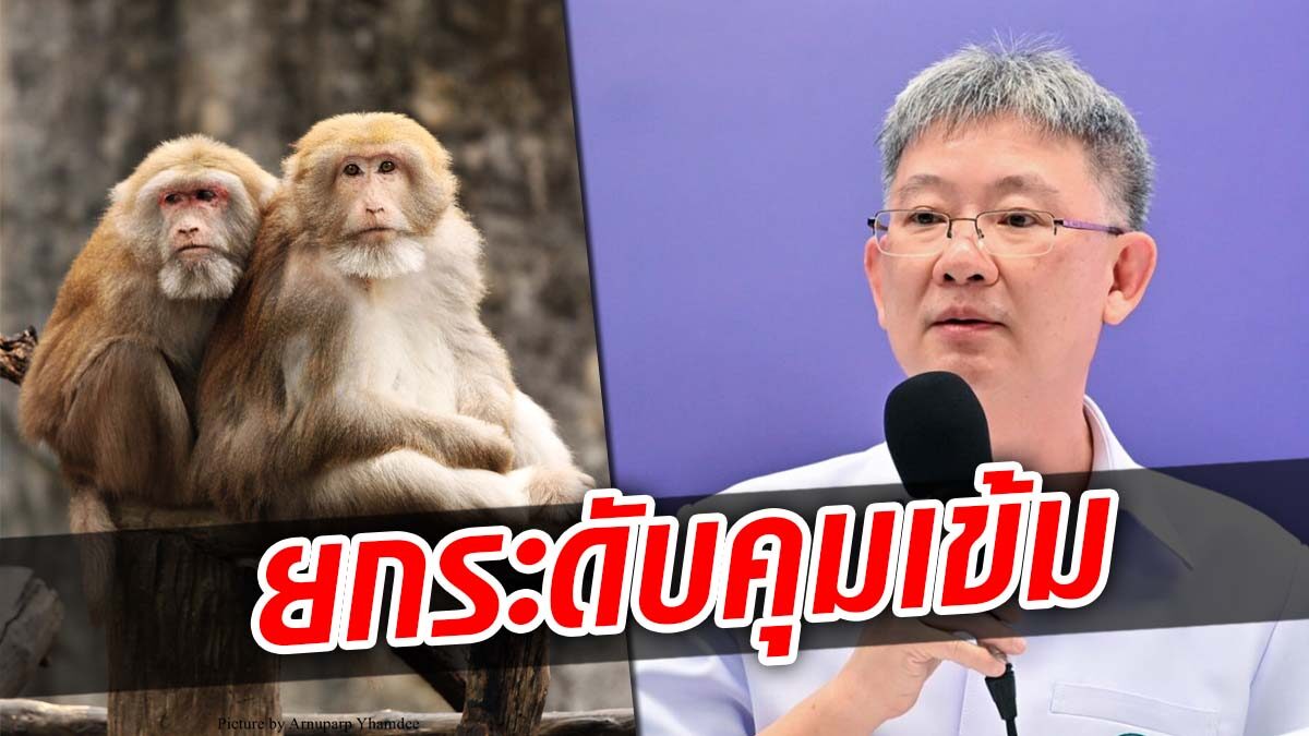 กรมควบคุมโรค ยกระดับเฝ้าระวัง “ฝีดาษลิง” คุมเข้มประเทศเสี่ยงเข้าไทย