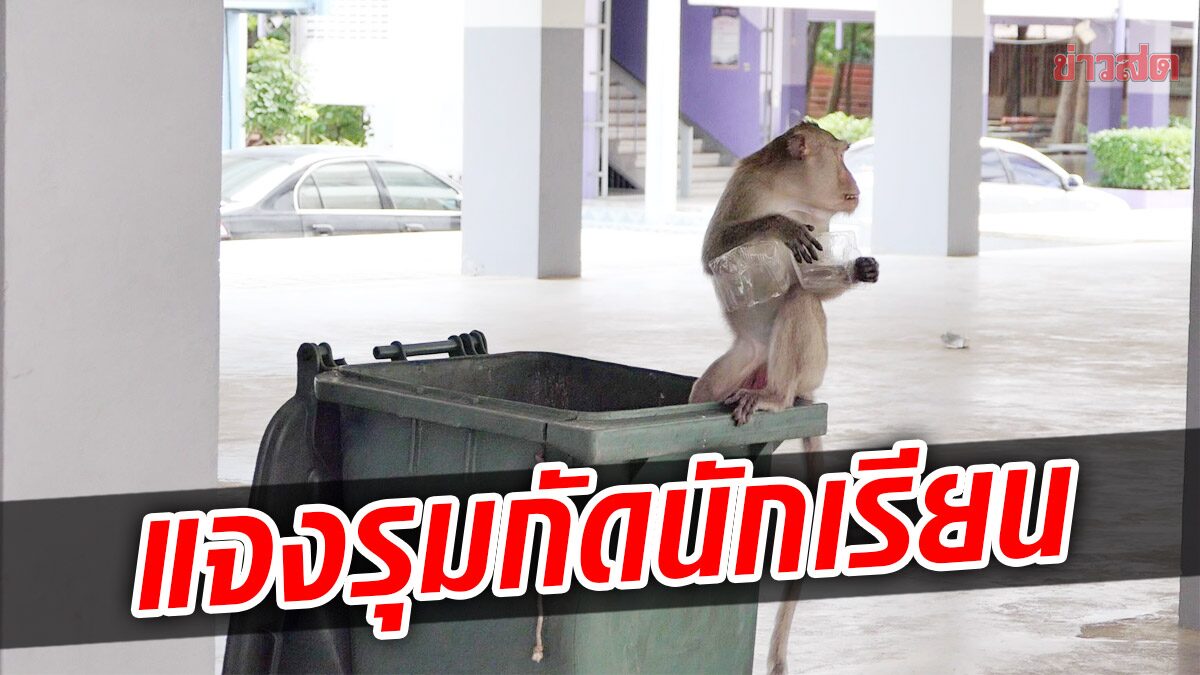 ภาพประกอบ