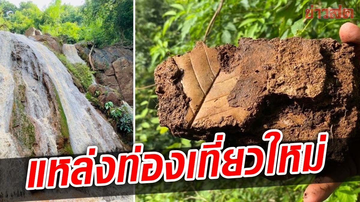 ดันน้ำตกผาเก้า แหล่งท่องเที่ยวเชิงธรณี หลังพบฟอสซิลใบไม้-เร่งอนุรักษ์