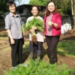 ชวนช้อปสินค้าเกษตรปลอดภัย เกษตรอินทรีย์ ผลิตภัณฑ์ กลุ่มจังหวัดภาคเหนือ