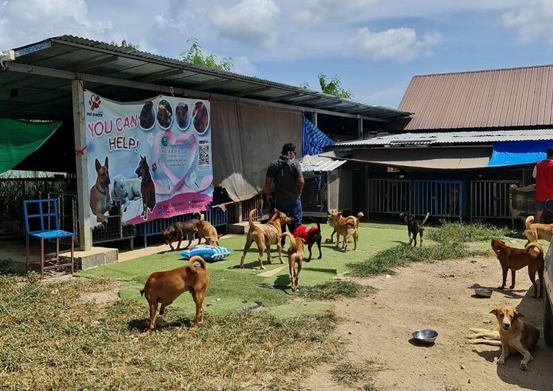 บุกพิสูจน์ สถานรับเลี้ยงสุนัข ปมดราม่า เพจช่วยเหลือหมาดัง ขอบริจาค-ตัดพ้อปิดเพจ อ้างไม่มีเงิน