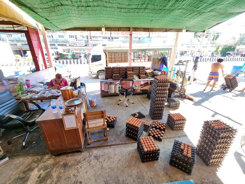 เจ้าของร้านในพื้นที่ จ.ราชบุรี เผย ราคาไข่ไก่ ร่วงแล้ว สาเหตุล้นตลาด ประกอบกับภาวะเศรษฐกิจถดถอย