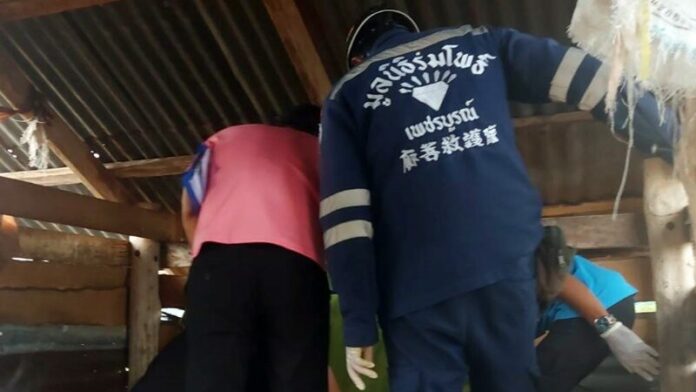 ชันสูตร