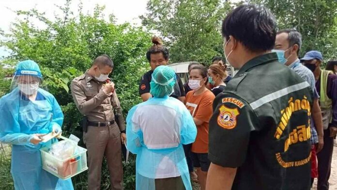 เก็บผัก