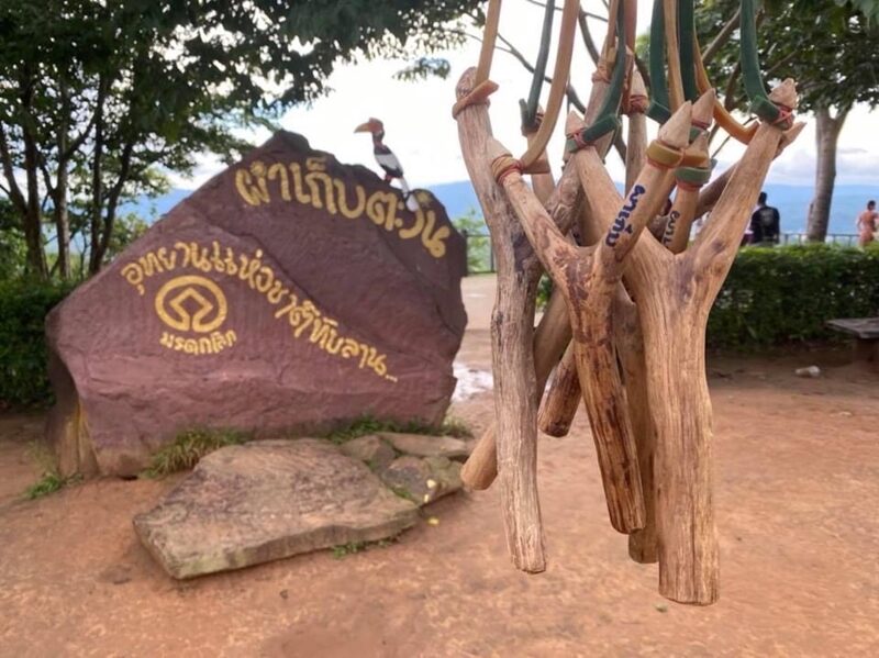 ครั้งแรกของโลก วังน้ำเขียว เตรียมจัดเทศกาลปลูกป่าทางอากาศ ด้วยการยิงหนังสติ๊กมากที่สุดถึง 500 คน