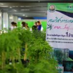 ‘อนุทิน’ นำทัพ ‘สธ.’ คิกออฟ กัญชา-กัญชง ถูกกฎหมาย