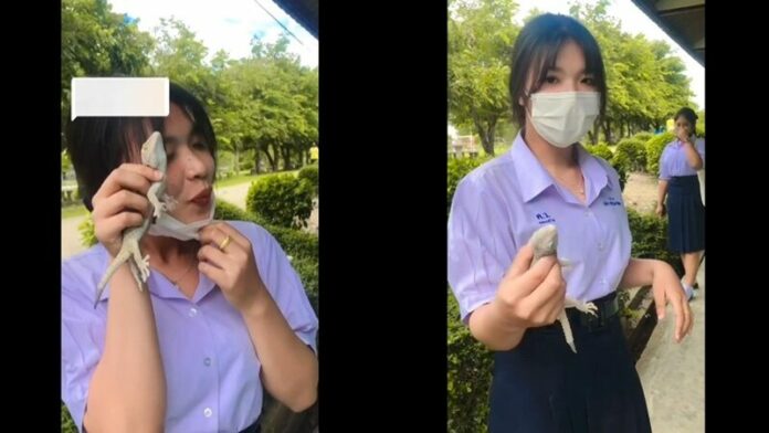 แกล้งครู 