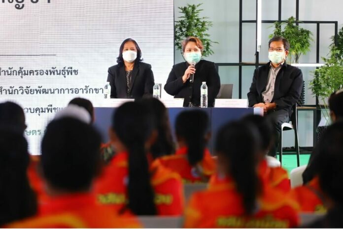 ‘มหกรรม 360 องศา ปลดล็อคกัญชาฯ’ บุรีรัมย์ ประชาชน ชิม-ช้อป ได้ความรู้