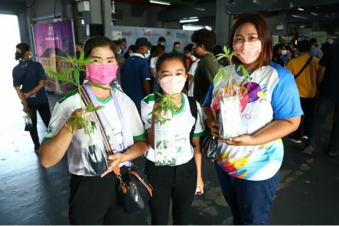 ‘มหกรรม 360 องศา ปลดล็อคกัญชาฯ’ บุรีรัมย์ ประชาชน ชิม-ช้อป ได้ความรู้