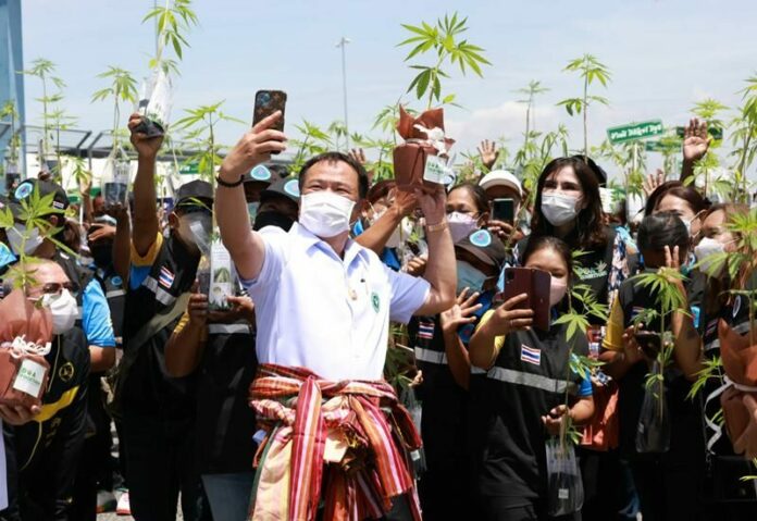 ‘มหกรรม 360 องศา ปลดล็อคกัญชาฯ’ บุรีรัมย์ ประชาชน ชิม-ช้อป ได้ความรู้