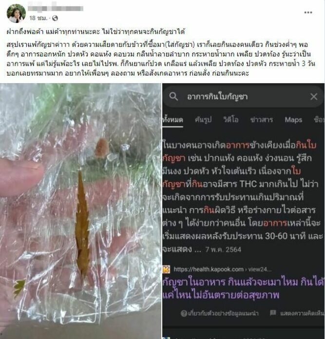 แพ้กัญชา
