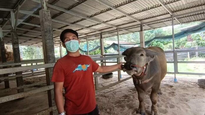 ฟาร์ม