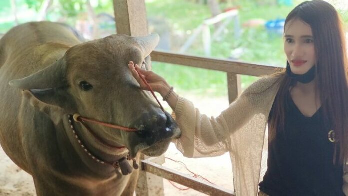 รูปงาม