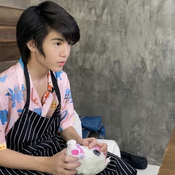 นุ๊ก เผย ปาแปง