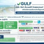 GULF เสนอขายหุ้นกู้ 15-17 สิงหาคมนี้ ผ่านแอปฯ “เป๋าตัง” และสถาบันการเงิน 9 แห่ง ดอกเบี้ยเริ่ม 3.50% ต่อปี