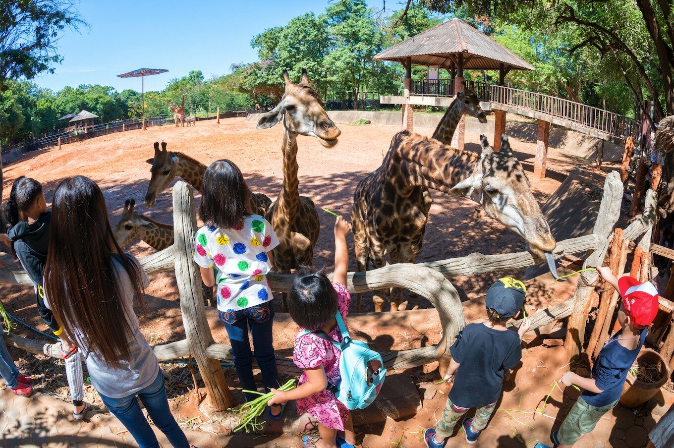 จัดกิจกรรมวันเฉลิมพระชนมพรรษา 28 ก.ค.นี้ เปิดสวนสัตว์ให้เด็กเข้าฟรีทั่วประเทศ