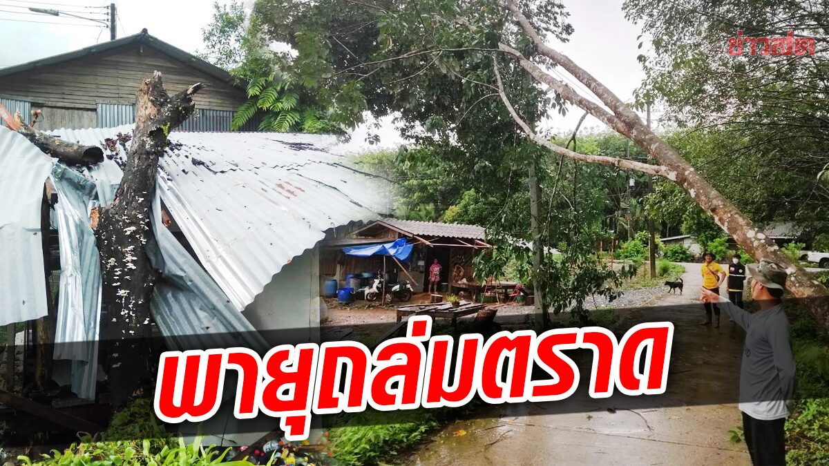พิษพายุฝนถล่ม ชาวคลองใหญ่อ่วม ไม้หักทับบ้าน ล้มทับเสาไฟฟ้า