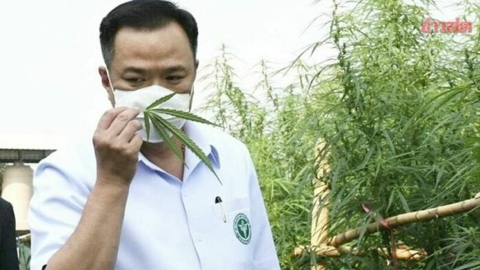 ดมกัญชา
