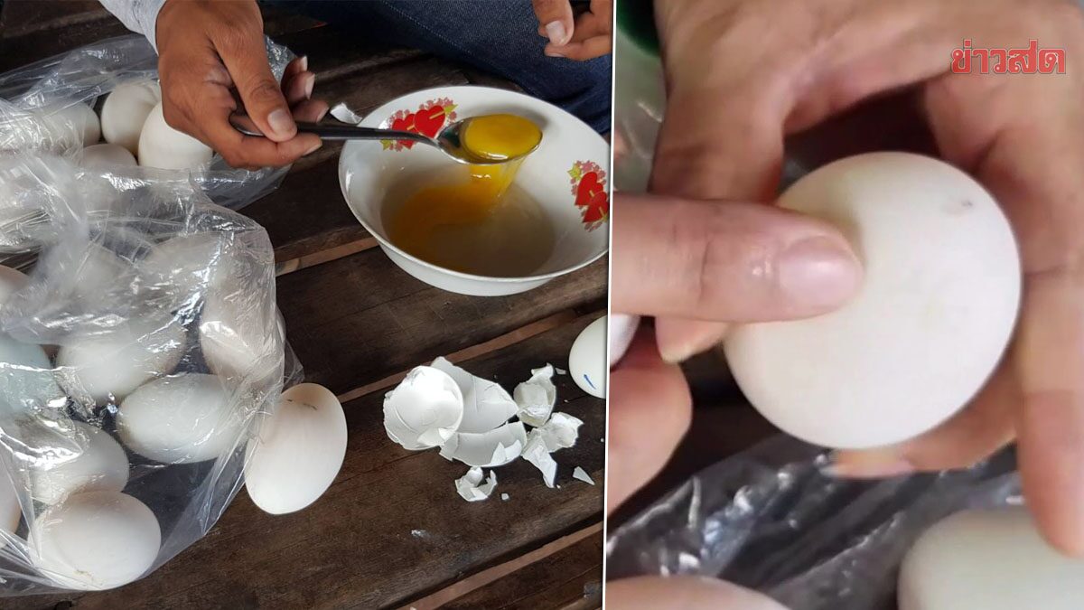 ชาวบ้านโอดไข่ไก่แพง หันมาซื้อไข่เป็ดราคาถูก ช็อกพบเจาะรูทุกฟอง วอนตรวจสอบ - ข่าวสด ชาวบ้านโอดไข่ไก่แพง หันมาซื้อไข่เป็ดราคาถูก ช็อกพบเจาะรูทุกฟอง วอนตรวจสอบ - ข่าวสด