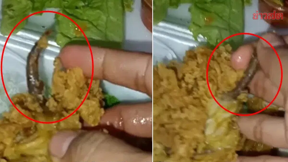 สยอง! สาวชาวอินโด เจอชิ้นส่วนคล้ายหางหนู ในข้าวผัดไก่ ชาวเน็ต สยอง! สาวชาวอินโด เจอชิ้นส่วนคล้ายหางหนู ในข้าวผัดไก่ ชาวเน็ต