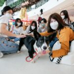 ราชวิทยาลัยจุฬาภรณ์ คณะสัตวแพทยฯ จัดโครงการ กล้าฝัน กล้าเป็นสัตวแพทย์