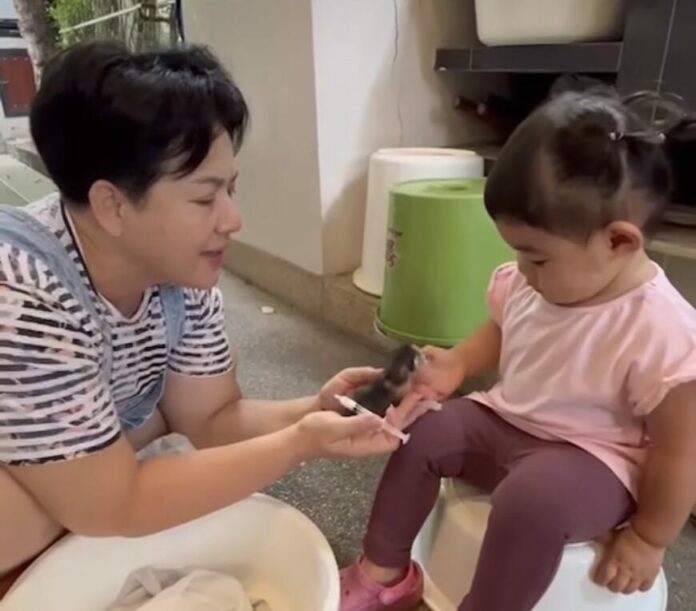 หนูแหม่ม ตกบันไดพลอยโจน