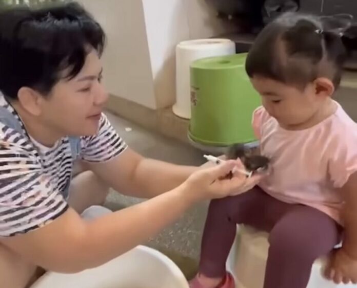 หนูแหม่ม ตกบันไดพลอยโจน