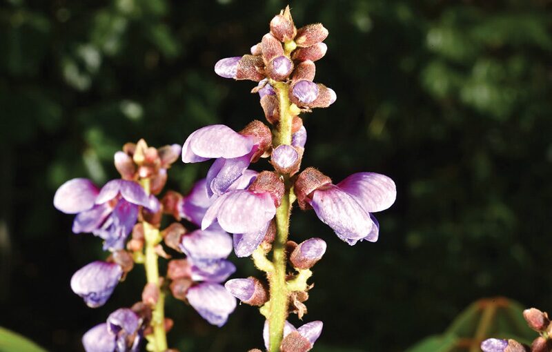 Mening qiz dostim veb-kamera oldida