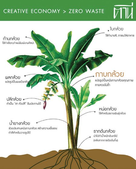 My Image 14