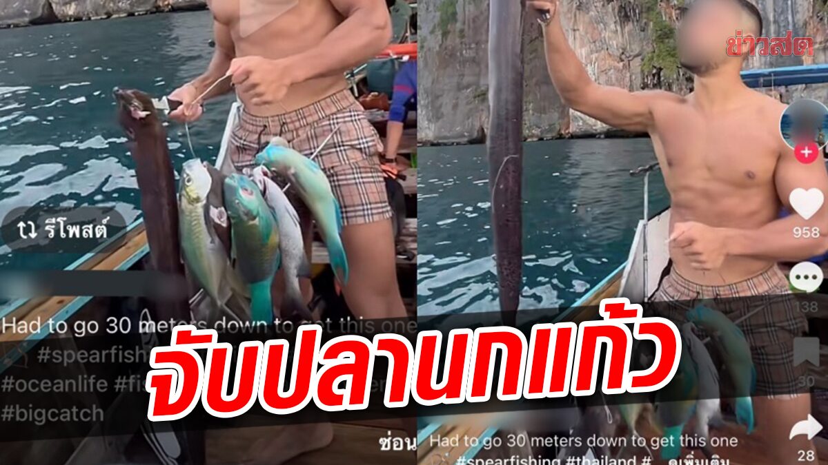 จวกยับ! นทท.ต่างชาติอวด จับ‘ปลานกแก้ว' เป็นพวง ในเกาะพีพี ไม่สนกฎหมายไทย