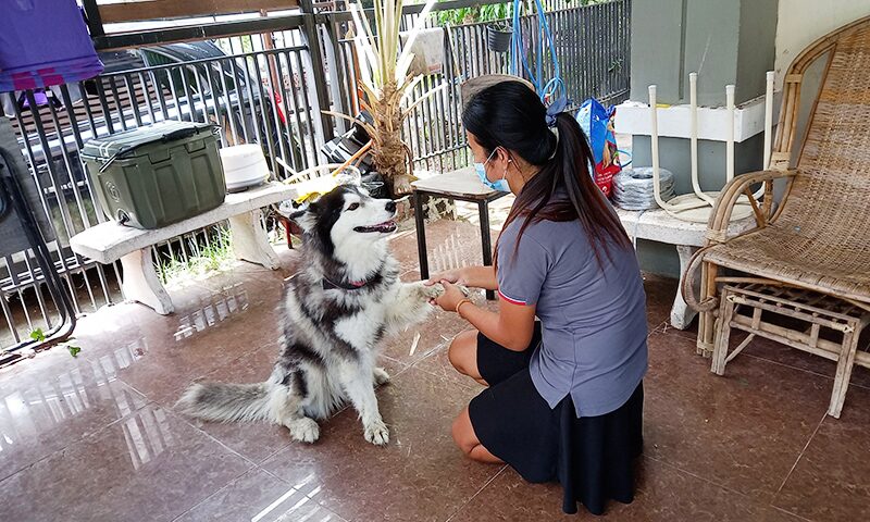 หนุ่มจอดรถลืมปิดประตู