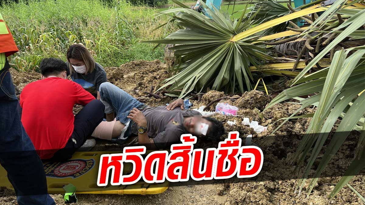 ช็อกทั้งไซต์งาน! โฟร์แมนดวงแข็ง โดนต้นตาลล้มใส่ โชคดีแค่ขาหัก