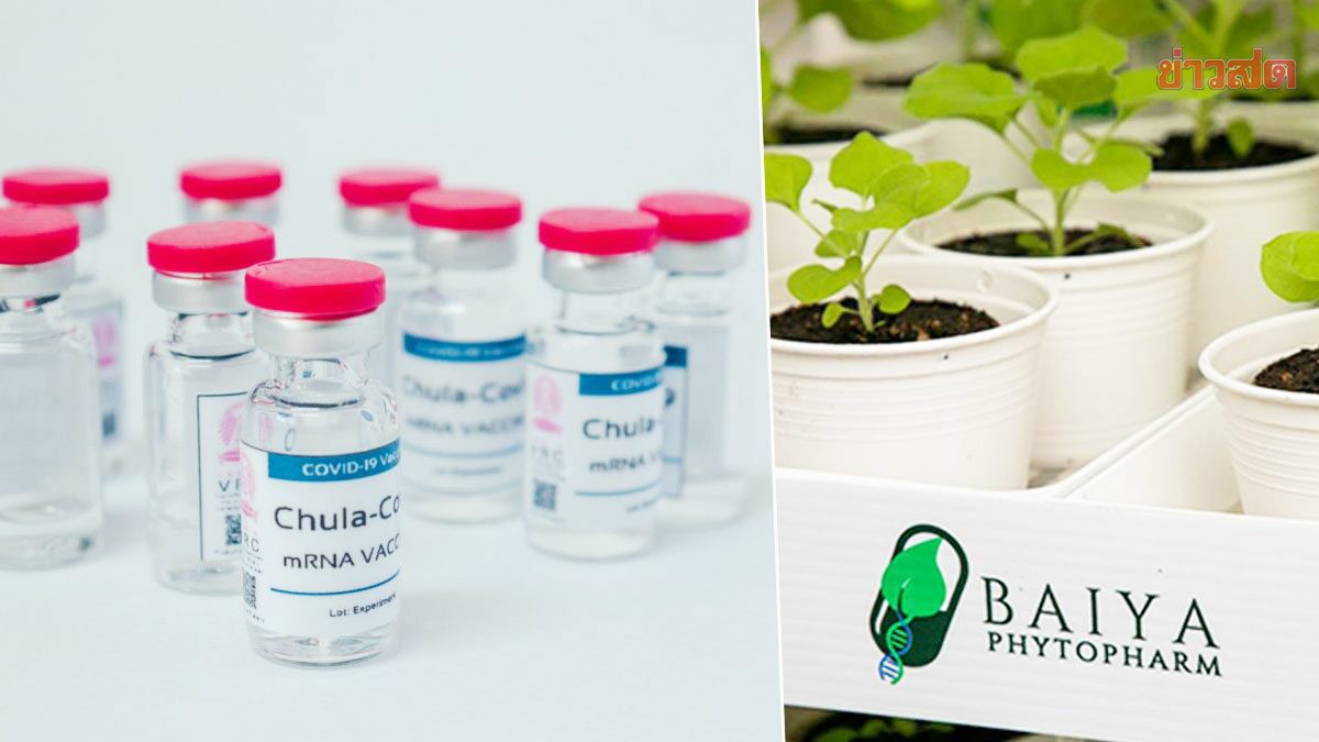 รัฐบาล แจงวัคซีนโควิดฝีมือคนไทย คาดทดลองเสร็จ-ขึ้นทะเบียน ใช้ได้ปี 67