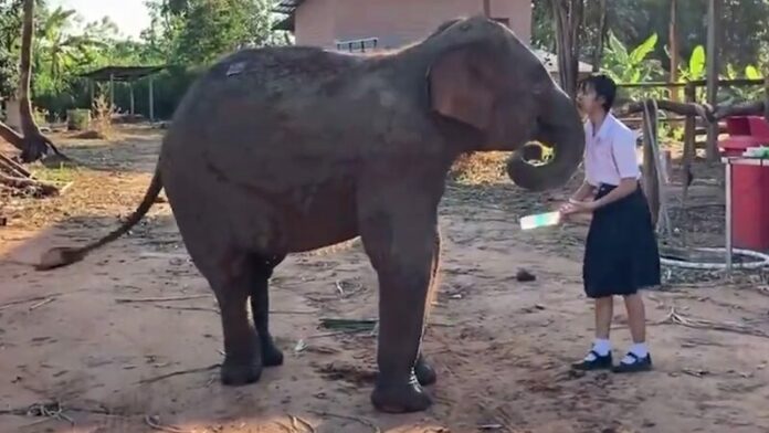 ยูทูบเบอร์